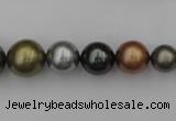 CSB410 15.5 inches 8mm - 16mm round mixed color shell pearl beads