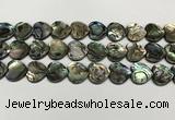 CSB4114 15.5 inches 14mm heart abalone shell beads wholesale