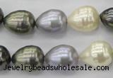 CSB552 15.5 inches 12*15mm whorl teardrop mixed color shell pearl beads