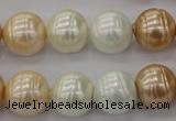 CSB624 15.5 inches 14mm whorl round mixed color shell pearl beads