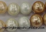 CSB636 15.5 inches 16mm whorl round mixed color shell pearl beads