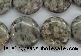 CSF01 15.5 inches 20mm flat round shell fossil jasper beads