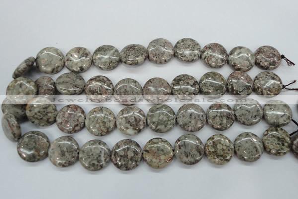 CSF01 15.5 inches 20mm flat round shell fossil jasper beads