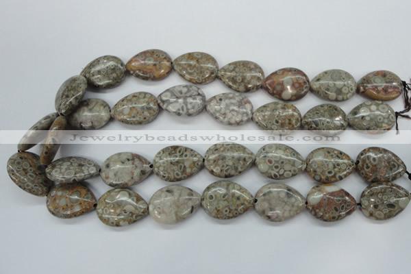 CSF03 15.5 inches 18*25mm flat teardrop shell fossil jasper beads