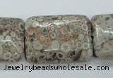 CSF10 15.5 inches 22*30mm rectangle shell fossil jasper beads