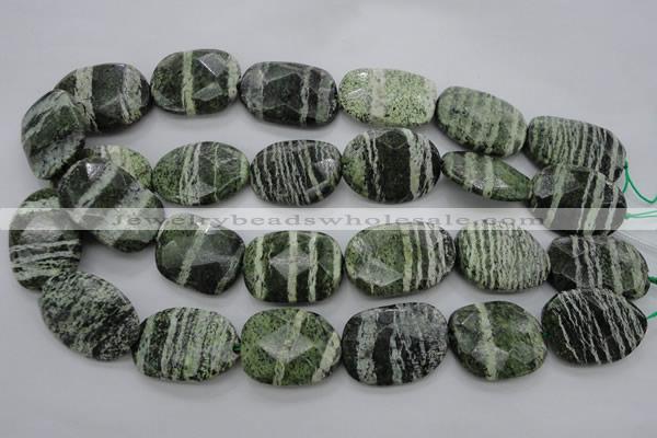 CSJ127 15.5 inches 20*30mm faceted freeform green silver line jasper beads