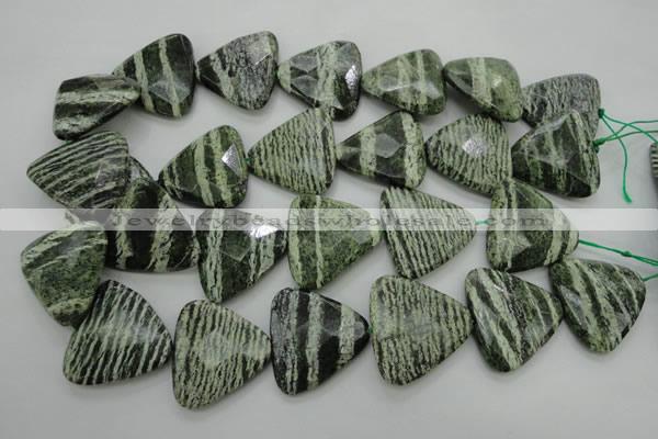 CSJ130 15.5 inches 30*30mm faceted triangle green silver line jasper beads