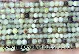 CSJ300 15.5 inches 4mm round serpentine new jade beads wholesale