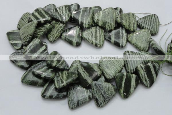 CSJ35 15.5 inches 30*30mm triangle green silver line jasper beads