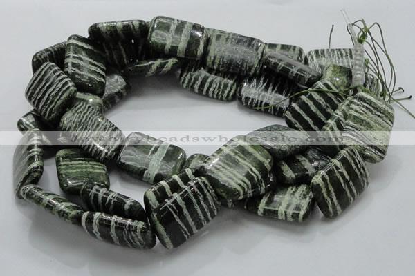 CSJ39 15.5 inches 22*30mm rectangle green silver line jasper beads