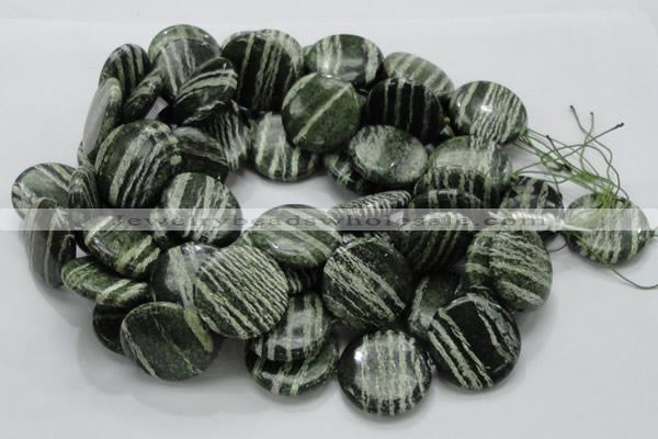 CSJ46 15.5 inches 30mm flat round green silver line jasper beads