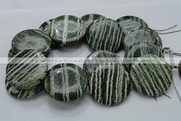 CSJ49 15.5 inches 50mm flat round green silver line jasper beads