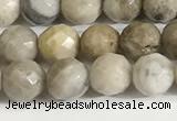 CSL157 15.5 inches 6mm faceted 

round sliver leaf jasper beads