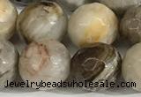 CSL160 15.5 inches 12mm faceted 

round sliver leaf jasper beads