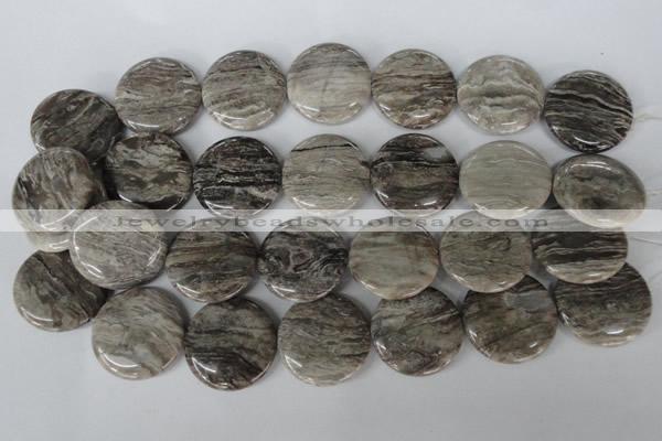 CSL35 15.5 inches 30mm flat round silver leaf jasper beads wholesale