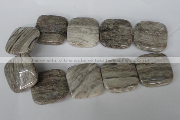 CSL59 15.5 inches 40*40mm square silver leaf jasper beads wholesale