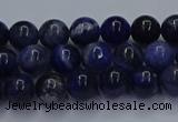 CSO611 15.5 inches 6mm round sodalite gemstone beads wholesale