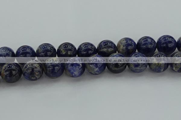 CSO639 15.5 inches 20mm round sodalite gemstone beads wholesale