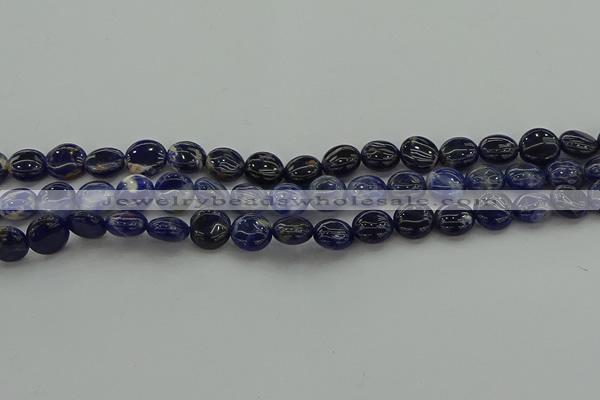 CSO670 15.5 inches 10mm flat round sodalite gemstone beads