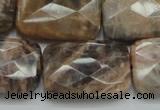 CSS115 15.5 inches 20*30mm faceted rectangle natural sunstone beads