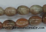 CSS248 15.5 inches 12*16mm teardrop natural sunstone beads