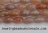 CSS265 15.5 inches 5*8mm rice sunstone beads wholesale