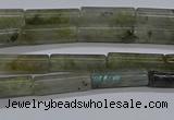 CTB353 15.5 inches 4*13mm tube labradorite beads wholesale