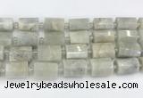 CTB876 13*25mm - 14*19mm faceted tube moonstone beads