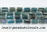 CTB888 15.5 inches 13*25mm - 14*19mm faceted tube apatite beads