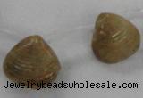 CTD1585 Top drilled 13*15mm - 18*20mm freeform shell fossil beads