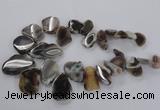 CTD1618 Top drilled 15*25mm - 30*45mm freeform botswana agate beads