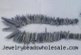 CTD1978 Top drilled 5*20mm – 8*45mm sticks blue Kyanite beads