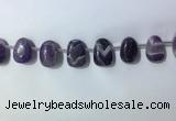 CTD2144 Top drilled 15*25mm - 18*25mm freeform dogtooth amethyst beads