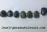 CTD2151 Top drilled 15*25mm - 18*25mm freeform labradorite beads