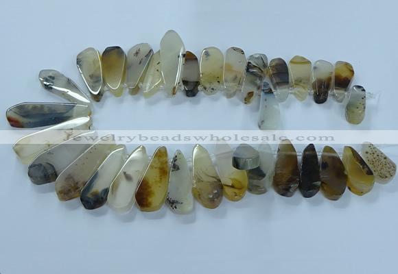 CTD2708 15.5 inches 10*25mm - 18*50mm freeform montana agate beads