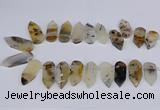 CTD2734 Top drilled 15*28mm - 18*45mm freeform montana agate beads