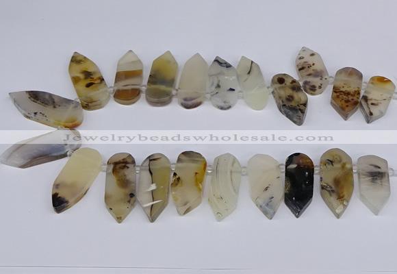 CTD2734 Top drilled 15*28mm - 18*45mm freeform montana agate beads