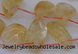 CTD323 Top drilled 15*20mm - 20*30mm freeform citrine beads