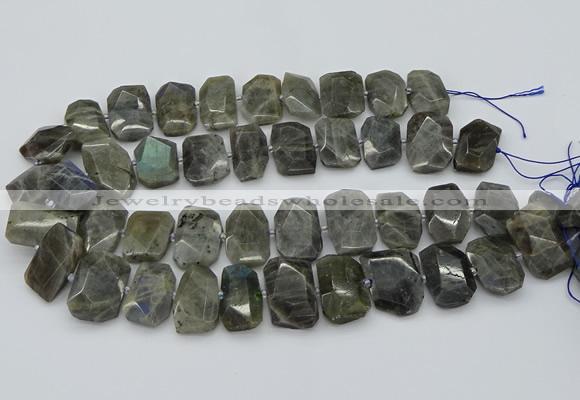 CTD3573 15.5 inches 15*20mm - 18*25mm freeform labradorite beads