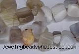 CTD3609 Top drilled 10*14mm - 13*18mm nuggets botswana agate beads