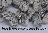 CTD3614 Top drilled 10*14mm - 13*18mm nuggets grey picture jasper beads