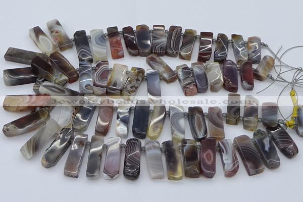 CTD3641 Top drilled 8*20mm - 10*35mm sticks botswana agate beads