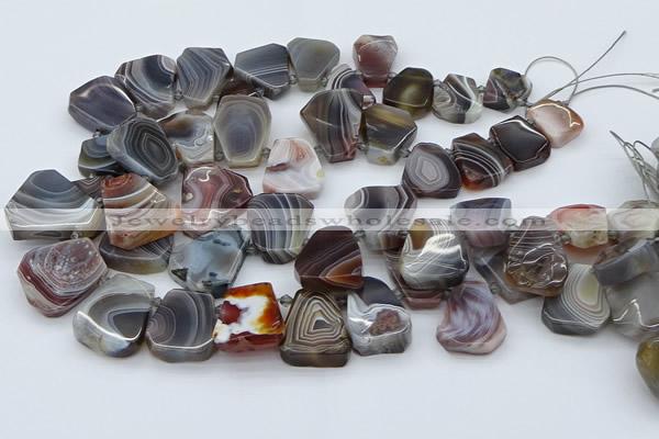 CTD3643 Top drilled 15*20mm - 25*30mm freeform botswana agate beads