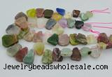 CTD3699 Top drilled 15*20mm - 25*30mm freeform mixed gemstone beads