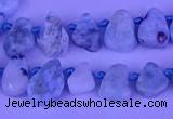 CTD3859 Top drilled 6*8mm - 10*12mm freeform larimar beads