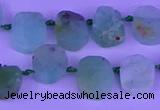 CTD3894 Top drilled 10*12mm - 10*14mm freeform Australia chrysoprase beads