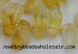 CTD452 15.5 inches 10*14mm - 15*30mm freeform citrine beads