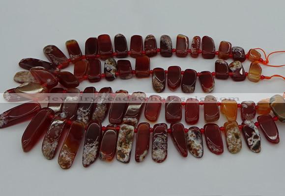 CTD461 15.5 inches 10*20mm - 12*35mm sticks red agate beads