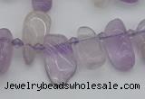 CTD478 Top drilled 10*15mm - 15*35mm freeform amethyst beads