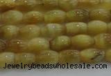 CTE1513 15.5 inches 4*6mm rice golden tiger eye beads wholesale